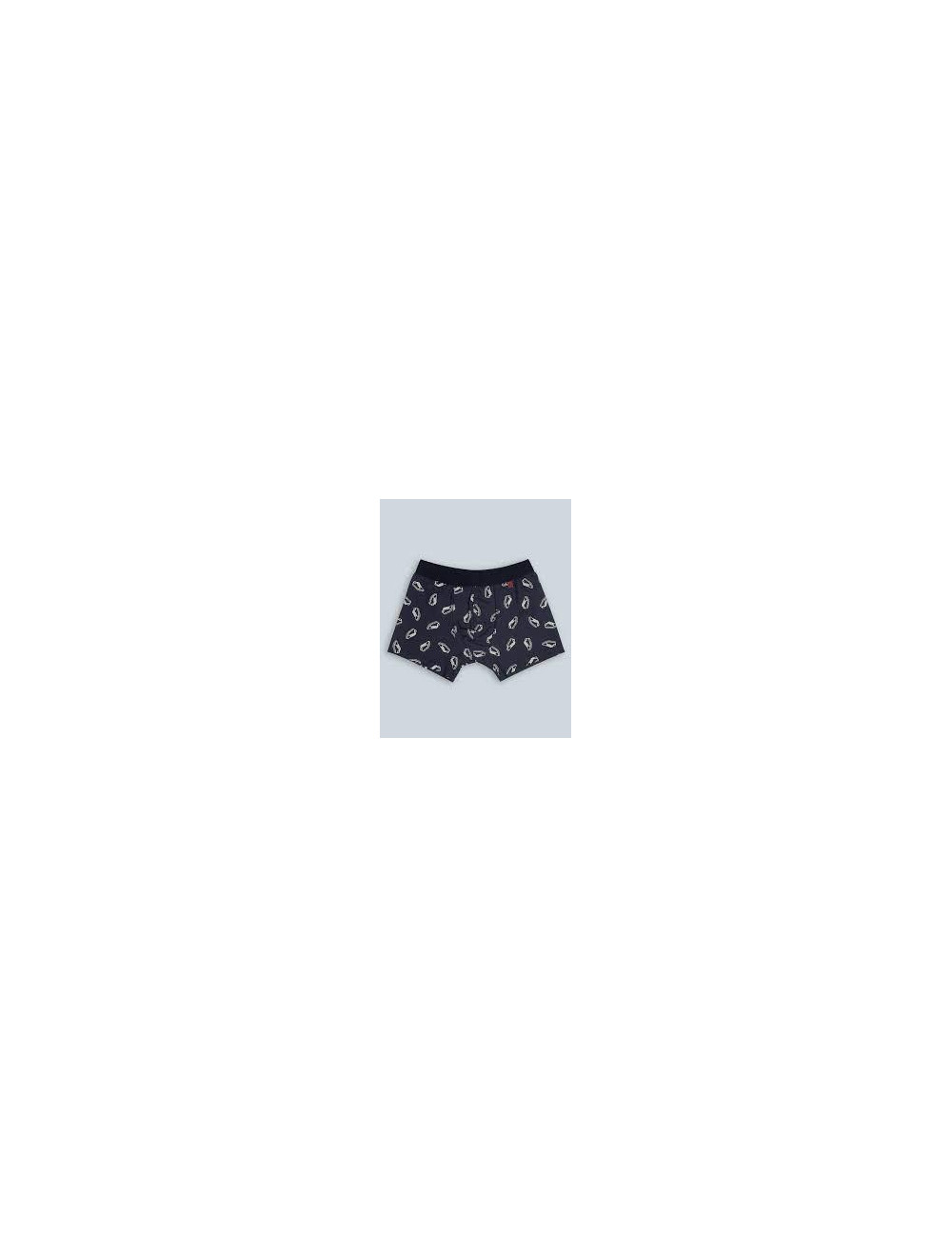 Calzoncillo Boxer Set