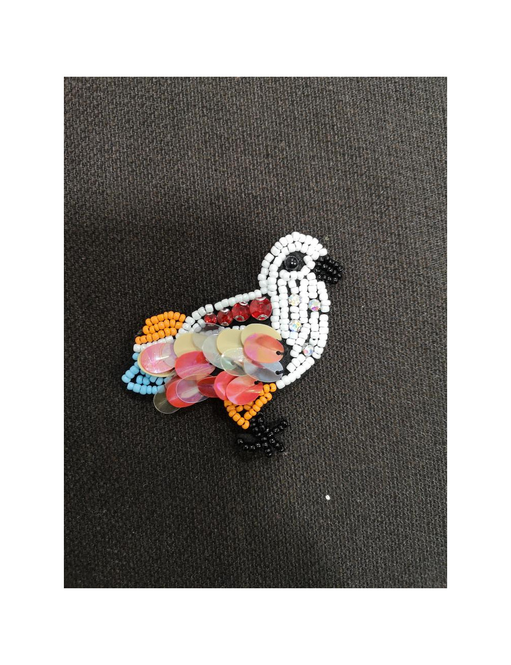 Aplicación Pato Canutillo Aplicación Pato Canutillo