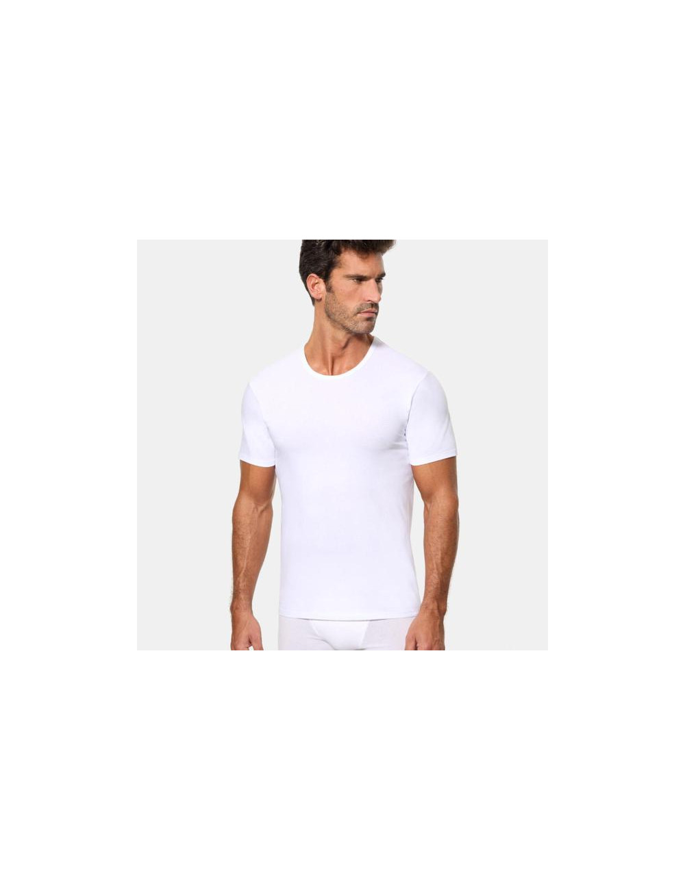 Camiseta Térmica MC Regular Activ Abanderado