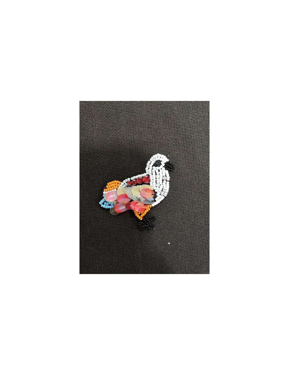 Aplicación Pato Canutillo 